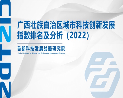 棒棒插入高潮黄文【成果发布】广西壮族自治区城市科技创新发展指数排名及分析（2022）